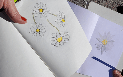 Nature Journaling – das stille Gespräch mit der Natur