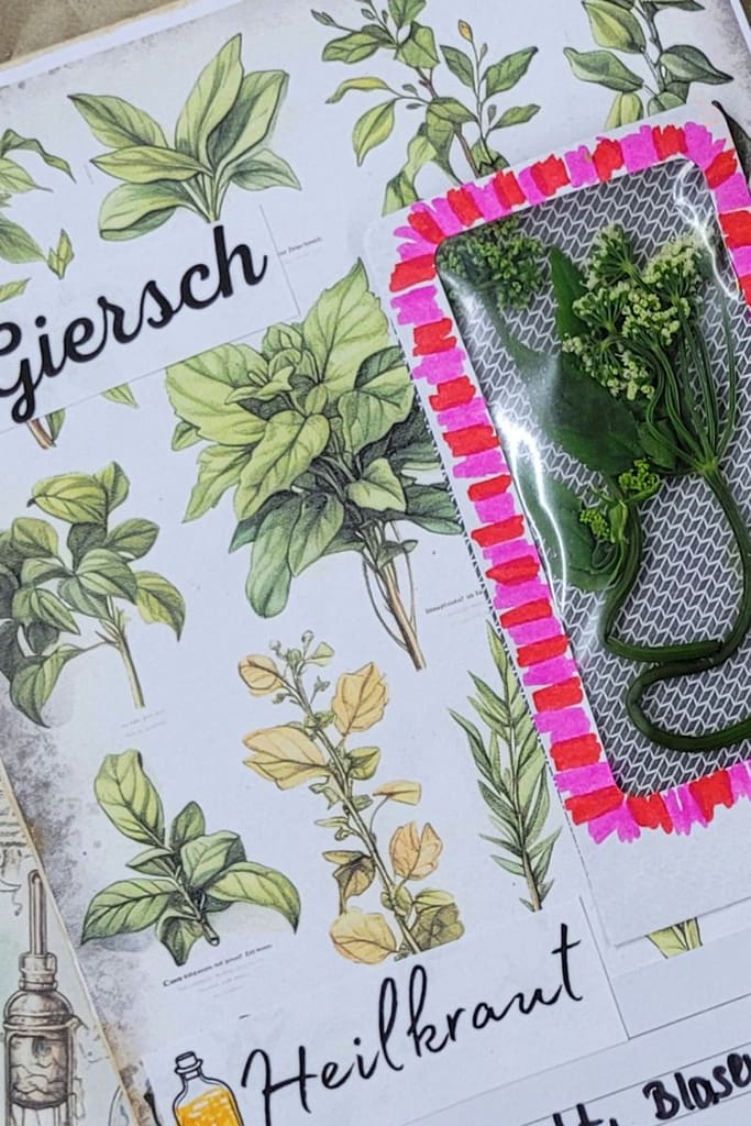 Pocket aus einem Birefumschlag