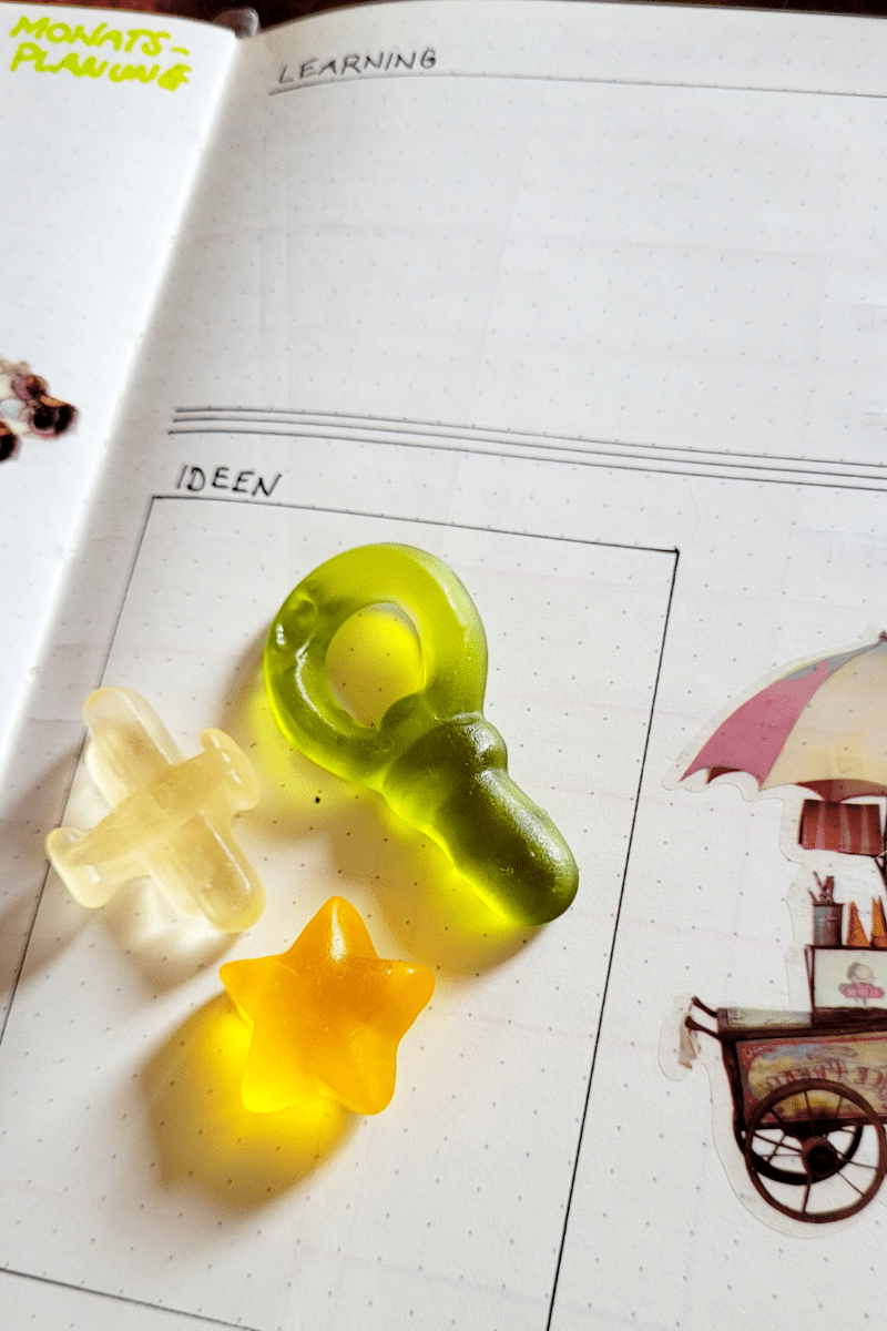 Monatsplanung Bullet Journal Seite