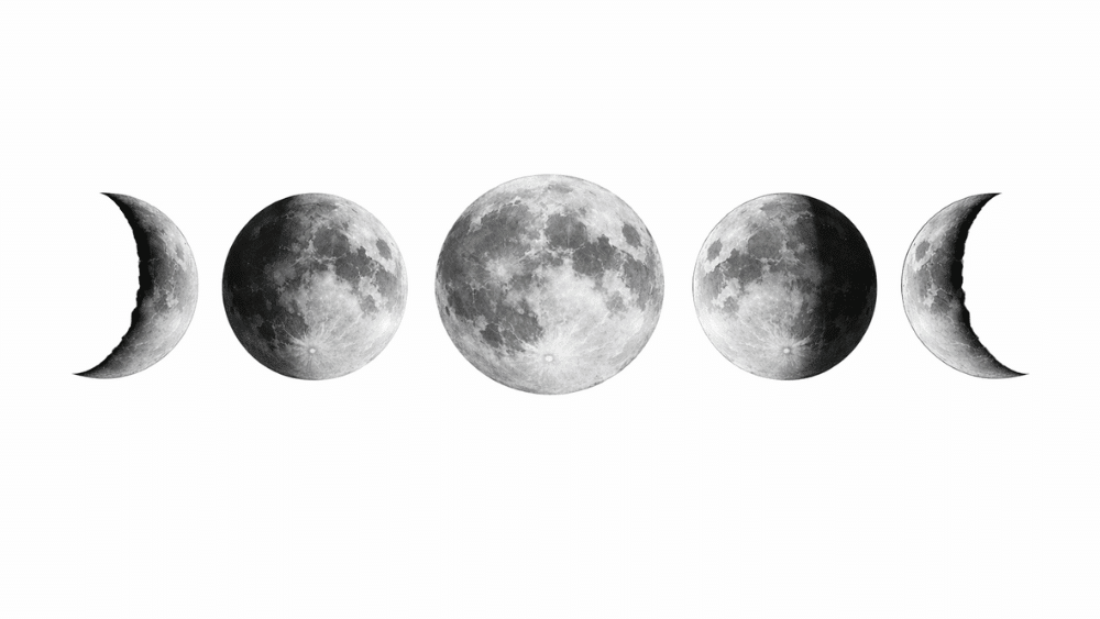 Mondphasen im Überblick: Neumond, zunehmender Halbmond, Vollmond und abnehmender Mond